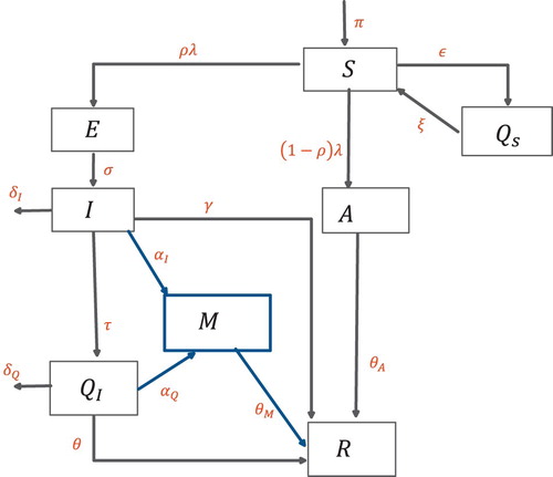 Figure 1. Schematic diagram of the model (Equation2(2) dSdt=Π+ξQS−(λ+μ+ϵ)SdQSdt=ϵS−(ξ+μ)QSdEdt=ρλS−(σ+μ)EdIdt=σE−(δI+τ+αI+μ+γ)IdAdt=(1−ρ)λS−(θA+μ)AdQIdt=τI−(θ+αQ+δQ+μ)QIdMdt=αII+αQQI−(θM+μ)MdRdt=θQI+γI+θAA+θMM−μR(2) ).