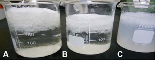 Figure 2 Gelling and floating ability of FRS-11 (A), FRS-6 (B), and FRS-2 (C).