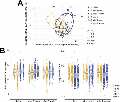 Fig. 4. Testosterone treatment (T-treatment) did not affect the acoustic parameters of the song in both sexes of black jacobin. (A) Biplot including the first two components (PC1 versus PC2) of a Principal Components Analysis including 26 acoustic parameters of black jacobin’s song (see Table S1 in Supplemental Data for a list of the parameters). The first component PC1 explained 36% of the overall variation and described mainly spectral parameters such as dominant frequency. The second component PC2 explained 23% of the variation and described temporal parameters such as duration. Each data point represents the mean of the PCA loads per bird in three time points: before, 1, and 2 weeks after T-treatment. If T-treatment had affected and differentiated the acoustic parameters of the song, we expected to see a clear separation of the PCA points of T-treated birds (dashed circle) after the T-treatment in comparison to the controls (solid circle). Instead, the biplot shows a complete overlap between T-treated and controls in both sexes indicating that there are no clear sex or treatment differences in the acoustic parameters of the song before, 1 or 2 weeks after the T-treatment. Nevertheless, a small separation between sexes can be observed, because some males had consistently more positive loadings along PC1 axis and some females more negative reflecting a trend of male’s song toward higher pitch independent of treatment or time. (B) The dominant frequency (left panel) and the duration (right panel) of black jacobin’s song in both sexes of control and T-treated groups did not differ before, 1 or 2 weeks after T-treatment. Males consistently tended to sing higher-pitched songs than females, whereas females consistently tended to sing longer songs than males, but the differences were not significant. All box plots indicate the median and interquartile range (25 to 75%). Each data point indicates an individual song measurement (see Table 3 for details on sample size). FC, female control; FT, female T-treated; MC male control and MT, male T-treated.