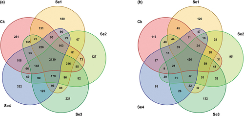 Figure 5. The venn diagram of bacterial (a) and fungal (b) OTUs in the rhizospheric soil of tomato plants under different Se treatments. Ck, control. Se1 and Se2 are sodium selenite at 1 mg kg−1 and 5 mg kg−1, respectively. Se3 and Se4 are sodium selenate at 1 mg kg−1 and 5 mg kg−1, respectively.