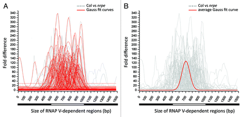 Figure 5. Assessment of the size of RNAP V-dependent regions. (A) Plot showing the degree of nrpe-dependent suppression on small RNA abundance across the width of RNAP V- dependent regions. One hundred of 500 bp, highly RNAP V-dependent clusters are selected (the average sum of HNA in nrpe libraries is less than 5 and HNA in Col is greater than 250 RP5M). Each selected cluster is joined together with its 500 bp upstream and 500bp downstream region for a 1,500 bp region. The degree of nrpe-dependent small RNA suppression is presented as the rounded fold-difference between Col vs. nrpe libraries in a window of 100 bp, sliding every 20 bp across the entire 1,500 bp region (gray background lines). For each of the RNAP V-dependent region, Gaussian distribution is used to fit the gray line of fold difference and shown as the red curve in the foreground. (B) The average curve was calculated (in red) from the data in (A) to represent the average size of a RNAP V-dependent region. The average width of a RNAP V-dependent locus was computed from the individual height and widths of each fitted curve in (A), independent of the exact position within the cluster (positions were ignored to focus on the shape of the curve for each cluster). The width of the average curve was calculated as 238 bp.