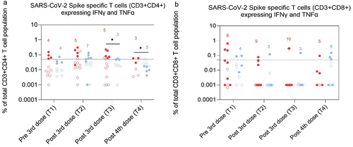 Figure 5. Frequencies of SARS-CoV-2 Spike specific T cells from the CD3+CD4+ (A) and CD3+CD8+ (B) T cell population expressing both IFN∎ and TNF√ in dialysis patients (red) and controls (blue) at T1 (1–2 months pre 3rd dose), T2 (1–3 months post 3rd dose), T3 (4–5 months post 3rd dose) and T4 (2–4 months post 4th dose). Number of participants included in the statistical analysis are indicated in the graph.