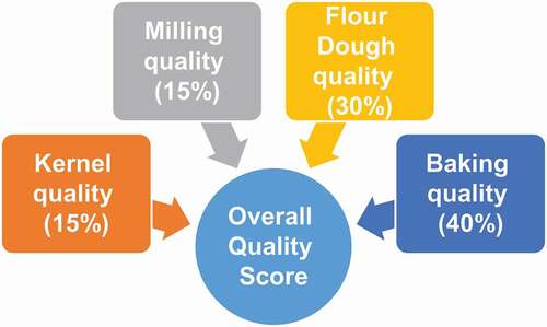 Figure 1. Overall quality scoring system consisting of wheat, milling, flour and dough, and baking quality scores.