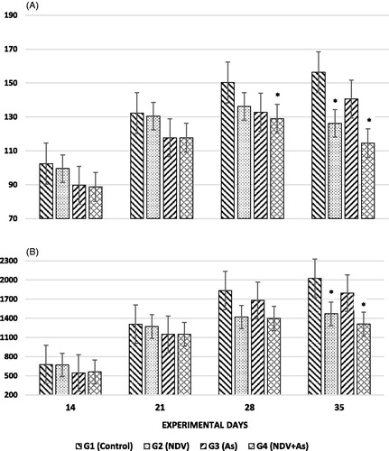 Figure 1. Effects of exposures on feeding and body mass of broiler chicks. (A) Feed intake (in terms of g/day). (B) Body weight (g) of test birds. Group 1 (G1): Control. Group 2 (G2): NDV-vaccine alone. Group 3 (G3): Arsenic-treated and non-vaccinated. Group 4 (G4): Arsenic-treated and NDV-vaccinated. All chicks in Groups 2 and 4 were challenged by field-isolated ND virus when they reached Day 24 of age. Values shown are means (±SD) in grams; N = 3/group. *Value significantly different from control on specific day (p < 0.05).