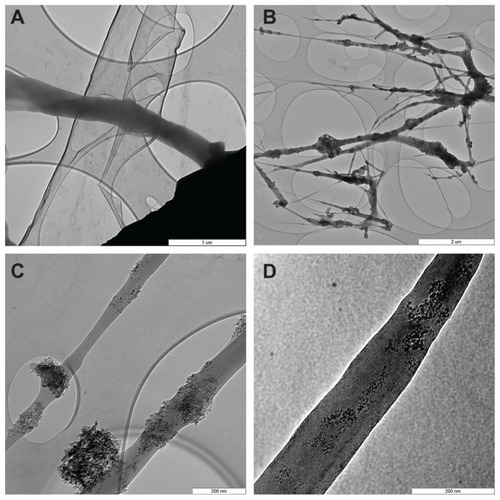 Figure 2 Transmission electron microscopy images of pure PLGA fibers (A) and PLGA fibers with diamond nanoparticles (B–D). (B) Network of PLGA with diamond nanoparticles, showing variations in fiber thickness and size of the material clusters. (C) Individual fibers with clusters of diamond nanoparticles. (D) Diamond nanoparticles relatively homogeneously distributed in a PLGA fiber.Notes: The layers with elliptical openings (A–C) are amorphous carbon membranes of the grid used to fix the sample. A Philips CM120 transmission electron microscope, LaB6 cathode operated at 120 kV, and SIS Veleta CCD camera, were used. Scale bar 1 μm (A), 2 μm (B), and 200 nm (C and D).Abbreviation: PLGA, copolymer of L-lactide and glycolide.