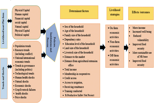 Figure 1. Conceptual Framework: Determinants of rural livelihood diversifications.
