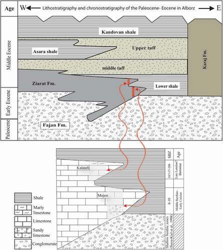 Figure 3. Lithostratigraphy of the Eocene successions in the Alborz zone (modified after Aghanabati, Citation2004) and the schematic stratigraphic cross-section of studied sections (Kalateh & Mojen) from the eastern Alborz region