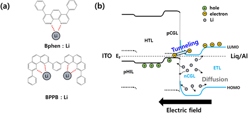 Figure 1. Coordination illustration between Phen-based electron transport materials and Li. (b) Schematic illustration of energy level alignment of CGL device at equilibrium, electron flow under reverse bias, and Li diffusion by concentration gradient.
