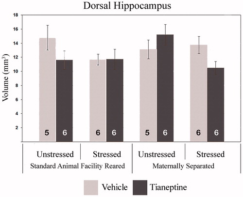 Figure 3. Effect of tianeptine on the volume of the dorsal hippocampus in rats exposed to early maternal separation and chronic variable stress in adulthood. Values are mean ± SEM for standard animal facility rearing (AFR) and maternally separated (MS) rats submitted to chronic stress or unstressed under tianeptine (dark gray bars) or vehicle (light gray bars) treatment. The number of rats per group is included inside each bar. ANOVA revealed a significant maternal separation × chronic stress × drug interaction (p < .05).