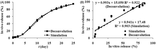 Figure 5. (A) Exenatide in vivo release percentage obtained from exenatide microspheres. Circle for the simulation method, square for the deconvolution method. (B) In vitro and in vivo correlation model linear regression plots of cumulative absorption versus the percentage release of exenatide from microspheres: Circle for the simulation method, square for the deconvolution method.