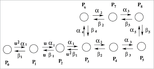 Figure 1. Kinetic model. Experimentally fitted sodium ion channel model of Vandenberg et. al.Citation33 P0 is the resting state. P1 to P4 are closed states. As soon as the stimulus comes several sequential transitions from P0 starts and finally goes to open-state, P5. After that the channel goes to inactivated state as described by P6, P7, and P8 states.