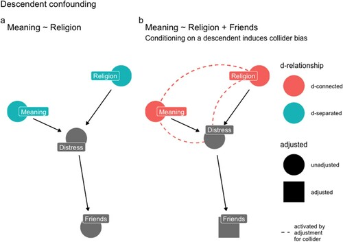 Figure 4. (a) X (Religion) and Y (Meaning) are unrelated. (b) If we were to “control for” a Friends (descendent) of Distress (collider) in our model, Religion (Exposure) and Meaning (Outcome) would appear to be related. The solution is to resist the impulse to include the descendent of a collider in a regression model.