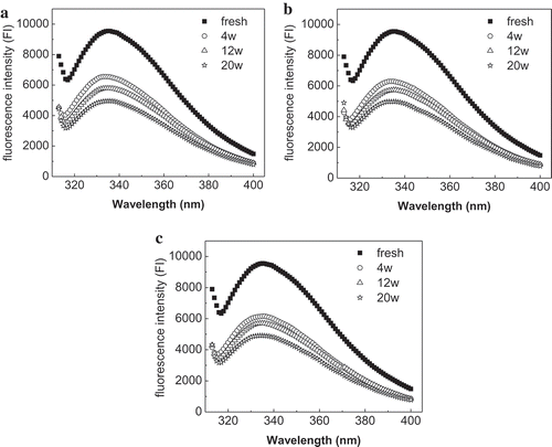 Figure 3. Changes in the intrinsic fluorescence intensity (IFI) of myofibrillar proteins from mud shrimp during frozen storage at different temperatures: −20°C (a); −30°C (b); −40°C (c).