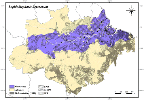 Figure 95. Occurrence area and records of Lepidoblepharis heyerorum in the Brazilian Amazonia, showing the overlap with protected and deforested areas.