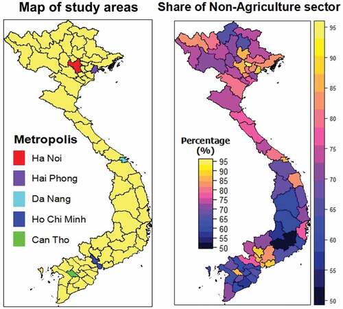 Figure 2. (a) Geographic locations of the study areas and metropolises (left panel). (b) Quantile map of non-agriculture share in study areas of Vietnam 2018 (right panel).