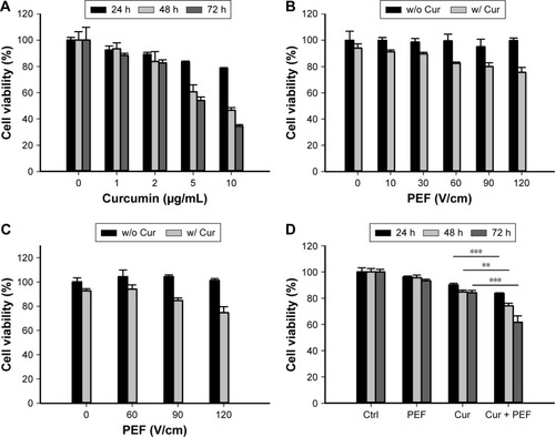 Figure 2 Effects of curcumin and PEF alone or in combination on PANC-1 and HEK293 cell proliferation.