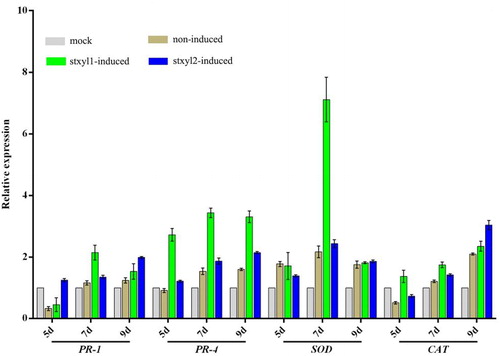 Figure 4. Expression analysis of defence genes in corn treated with yeast surface displaying xylanase. RT-qPCR analysis of the genes PR-1, PR-4, SOD and CAT transcript levels during corn leaves being treated with yeast surface displaying xylanase for 5d, 7d and 9d, respectively. Expression levels were normalized to the expression of the reference gene tubulin. Results are shown as mean ± SD for three independent replicates. Statistical significance compared with control was assessed using one-way ANOVA followed by Student–Newman–Keuls tests.