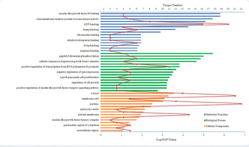 Figure 3 Top 15 GO enrichment terms.