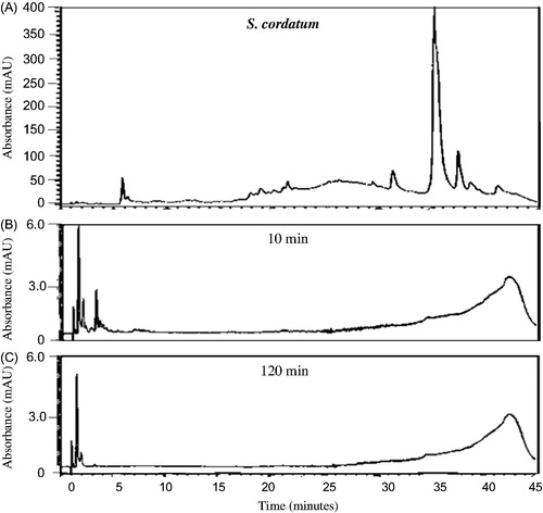 Figure 6. HPLC chromatograms of S. cordatum organic extract (32 mg/mL PBS) at 260 nm prior to (A) and after the in vitro permeability experiment at different time intervals (B: 10 min and C: 120 min) after exposure to excised porcine skin.