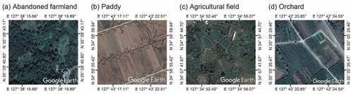 Figure 5. Google Earth high-resolution satellite images (24 October 2013) of reference samples for four agricultural types.