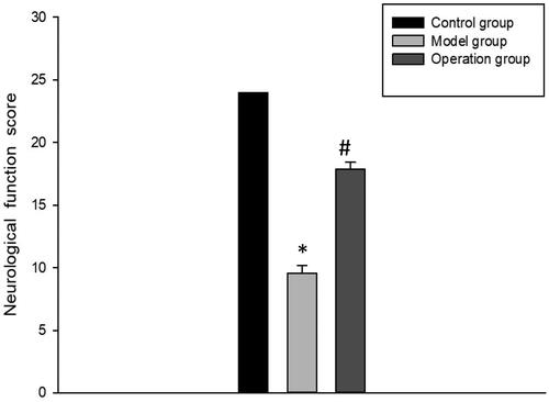 Figure 4. Comparation of the neurologic function scores. *p < 0.05 vs Control group; #p < 0.05 vs Model group.