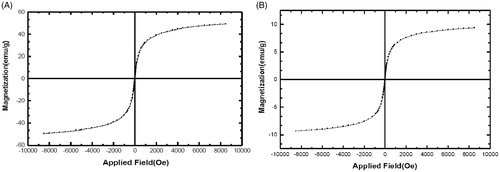 Figure 4. Magnetic hysteresis curve. (A) Magnetic hysteresis curve of pure Fe3O4 nanoparticles and (B) magnetic hysteresis curve of silibinin-loaded PLGA-PEG-Fe3O4 nanoparticles.