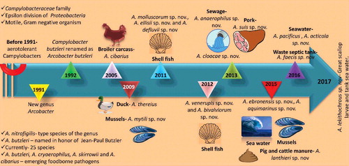 Figure 1. Evolution and emergence of Arcobacter. New genus was established in the year 1991. New additions were incorporated over the timeline and currently 25 species are recognized. Some of the members of Arcobacter along with the source and year of isolation are depicted in the figure.