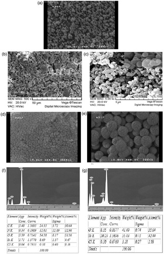 Figure 5. SEM images of (a) silica nanoparticles, (b) ImIL-MSNs nanocomposites, (c) ImIL-MSNs-PMAA nanocomposites, (d) MTX-loaded ImIL-MSNs nanocomposites, (e) MTX-loaded ImIL-MSNs-PMAA nanocomposites, (f) selected area EDX analysis for ImIL-MSNs nanocomposite and its elemental composition and (g) selected area EDX analysis for ImIL-MSNs-PMAA nanocomposite and its elemental composition.