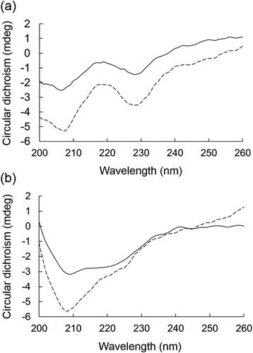 Figure 4. Effects of BFP on the CD spectrum of α-amylase or α-glucosidase.CD spectra of α-amylase (a) or α-glucosidase at 5.0 mg/mL (b) in the presence (dotted line) or absence (solid line) of BFP (1000 µg/mL) were measured. Measurements were carried out after 15 min incubation of the mixture of enzyme and BFP at 25°C.