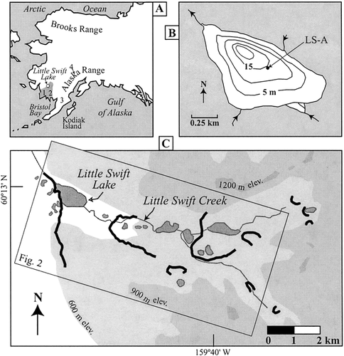 FIGURE 1. (A) Location of the Ahklun Mountains (shaded dark gray) and Little Swift Lake (white dot) relative to major geographic features of Alaska and other sites mentioned in the text, namely Nimgun Lake (1), Ongivinuk Lake (2), Idavain Lake (3), and Farewell Lake (4). (B) Bathymetry of Little Swift Lake, with location of coring site LS-A. (C) Little Swift Lake drainage area, with distal edges of prominent late glacial and Holocene moraines shown as bold lines. Box indicates area of Figure 2