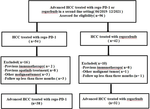 Figure 1 Flow chart of patient screening.