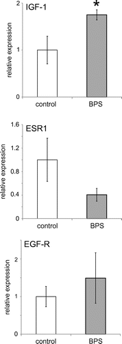 Figure 3. Developmental exposure to BPS alters gene expression in the female reproductive tract. Expression of three genes in the uterus at PND22. ESR2 expression levels were too low to be accurately quantified in these tissue samples (similar to (Couse, Lindzey, Grandien, Gustafsson, & Korach, Citation1997)).
