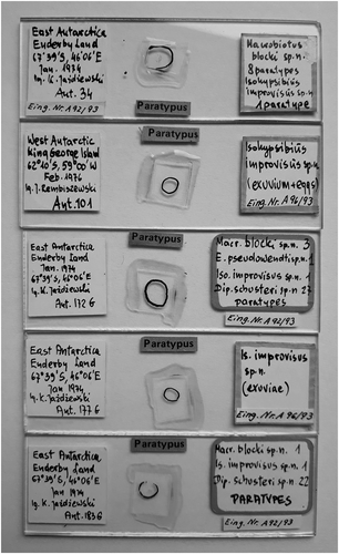 Figure 1. Examined microscope slides (paratypes) of. Das. improvisus from the Zoologisches Museum of Hamburg, Germany