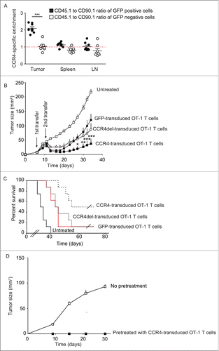 Figure 4. Transfer of CCR4-transduced OT-1 (T)cells induces regression of established tumors. (A) Panc02-OVA tumor-bearing CD45.2+ CD90.2+ mice (WT) were i.v. injected with CCR4-GFP-transduced CD45.1+ and CCR4del-GFP-transduced CD90.1+ OT-1 CTL. One week after injection the GFP distribution among all transferred marker cells was analyzed by flow cytometry. The amount of CCR4-transduced T cells was normalized to the amount of CCR4del-transduced T cells. (B, C) Mice bearing established subcutaneous Panc02-OVA tumors were i.v. injected 6 and 12 d after tumor induction with 2 × 106 OT-1 T cells transduced with GFP, CCR4 or CCR4del and tumor growth and survival was monitored every second day. (D) Tumor-free mice were re-challenged by subcutaneous injection of a lethal number (0.5 × 106) of Panc02-OVA tumor cells. Data are presented as mean ± SEM of eight mice and sensored at the time, the first mice had to be sacrificed due to the predefined endpoints of the study and are representative for two independent experiments. For re-challenge experiments, all cured mice were used. Significance of tumor growth was calculated by two-way ANOVA with Bonferroni post-test correction, differences in survival were analyzed by log-rank test and p value of cell enrichment by unpaired Student's t-test. *p < 0.05; **p < 0.01; ***p < 0.001.