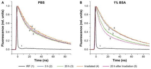 Figure 9 The effect of storage time and irradiation on the fluorescence decay of QD655 in (A) PBS and (B) 1% BSA in PBS. The fluorescence lifetime of QD655 was measured immediately after addition of the QDs to the solutions (0 h, curve 2) and then after the samples had been stored for 20 hours at room temperature in darkness (curve 3). The samples were irradiated with the blue light lamp for 3 hours, and their fluorescence lifetimes were measured (curve 4). Finally, the irradiated samples were stored for an additional 20 hours at room temperature in darkness, and fluorescence decay was measured again (curve 5).Abbreviations: BSA, bovine serum albumin; PBS, phosphate buffered saline.