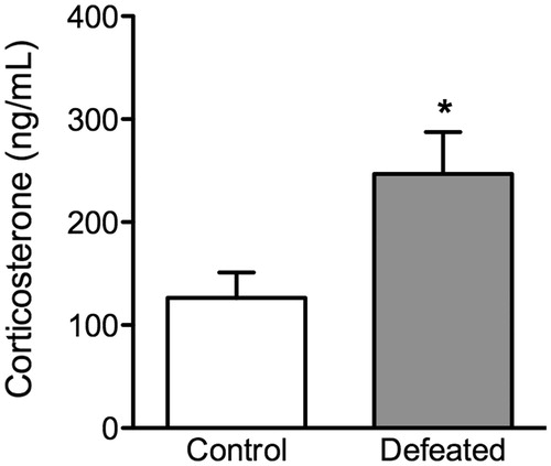 Figure 6. Effects of social defeat stress on adolescent neuroendocrine stress response. (a) Trunk blood of c57BL/6 mice was taken 40 min after the 10th episode of social defeat stress (i.e. postnatal day 44). Adolescent mice exposed to social defeat stress (defeated; n = 9) displayed significantly increased serum corticosterone levels when compared to non-stressed mice (control; n = 10). Data are presented as concentrations in ng/mL. *Significantly different than control mice (p < 0.05). Data are presented as mean + SEM.