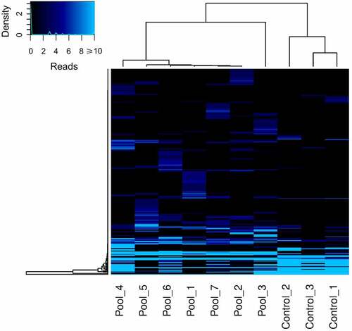 Figure 3. Heatmap showing the viral abundance based on the total number of viral reads obtained from each analyzed sample. The keycode (upper left) indicates the correlation between the color scheme and the number of reads. A hierarchical cluster is presented for both samples and viral species/genus. The clustering between the group of patients and controls can also be observed.