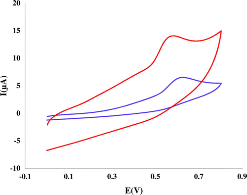 Figure 3 Cyclic voltammograms of 45 mM of mitoxantrone at bare GC electrode and Nanosilica–SO3H-GCE in 0.05 M Tris–HCl (pH 7.4) buffer at scan rate of 100 mVs−1