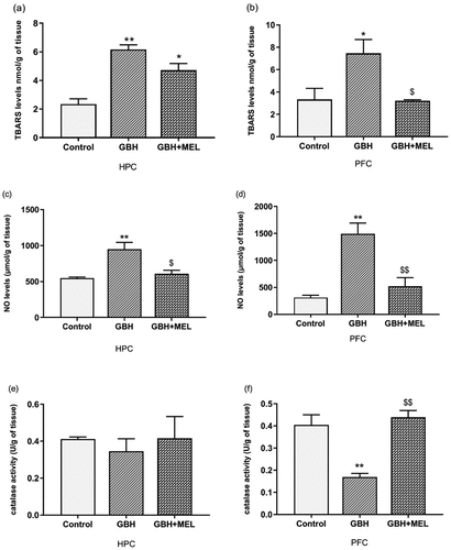 Figure 7. Effects of GBH (75 mg/kg) and MEL (4 mg/kg) administration on TBARS levels (a,b), the nitric oxide (NO) levels (c,d) and catalase (CAT) activity (e,f) in the hippocampus (HPC) and prefrontal cortex (PFC) of adolescent male rats. The data are presented as mean ± S.E.M of 6 animals/group. *p <0.05, **p <0.01 compared with the control group; and $p <0.05, $$p <0.01 compared with the GBH group.
