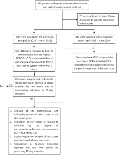 Figure 1 Flow chart of the study.