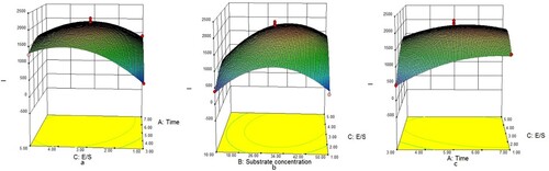 Figure 5. Effect of interactions of various factors on I value of papain-digested cow’s placenta. The Z-axis is integrated extraction rate (I); (a) is the time-substrate concentration interaction diagram, (b) is the concentration-enzyme bottom ratio interaction diagram and (c) is the enzyme bottom ratio-time interaction diagram.