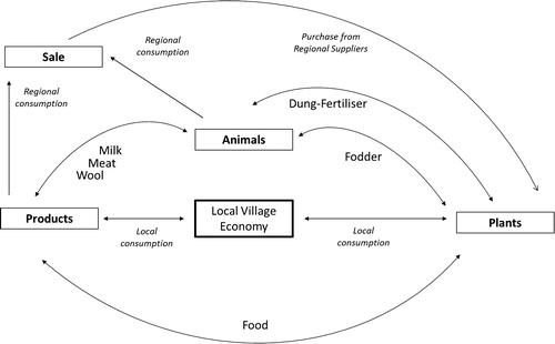 Figure 9. Animals, plants and the local economy. Simplified diagram of inputs/outputs and local/regional consumption.