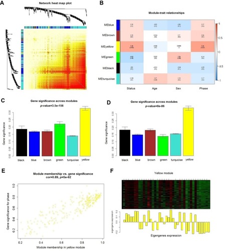 Figure 3 Identification of key modules associated with the clinical traits of CML. (A) Topological overlap matrix plot. The different colors on the horizontal and vertical axes represent different modules. The brightness of the yellow in the middle represents the degree of connectivity of different modules. We observed no significant differences in interactions among the different modules, indicating a high-scale independence degree. (B) Heat map of the correlation between modules and clinical traits of CML. Numbers in the table signify the correlations of the corresponding module eigengenes and clinical traits, with the p-values specified below the correlations in parentheses. (C and D) Distribution of the average gene significance and errors in the modules associated with status and phase of CML. (E) Scatter plot of module eigengenes related to status and phase in the yellow module. (F) Heat map and column chart of gene expression in the yellow module. Intensity and direction of the correlations are indicated in the heat map (red, positively correlated; green, negatively correlated).
