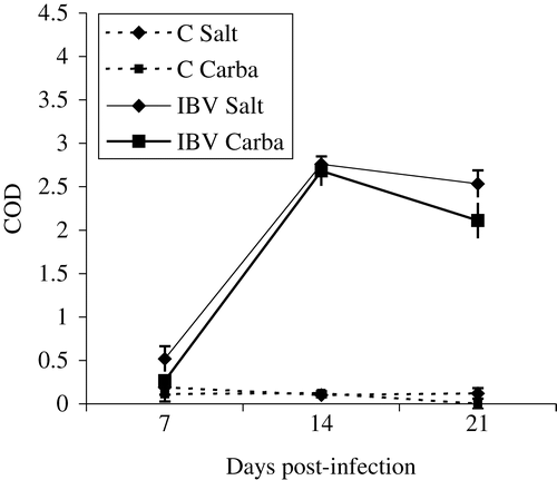 Figure 3. IBV-specific IgG in tears induced after salt application or carbachol injection, and collected using filter papers. No significant differences between the groups.