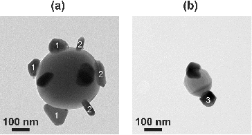 FIG. 7. A TEM micrograph of (a) a large titania particle containing several silver structures and (b) a titania particle with a grain boundary containing two silver structures. Different shaped silver structures were observed, including (1) triangular, (2) rodlike, and (3) hexagonal. The evaporation temperature was .