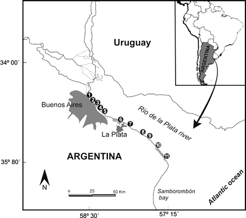 Figure 1  Map of the Río de la Plata estuary system showing the sampling sites. S1, the mouth of the Luján river; S2, San Isidro; S3, the airport of the city of Buenos Aires; S4, Santo Domingo; S5, Berazategui; S6, Boca Cerrada; S7, Punta Lara; S8, Bagliardi; S9, Balandra; S10, Atalaya; S11, Punta Indio. In grey: large urban areas; striped: protected natural areas.