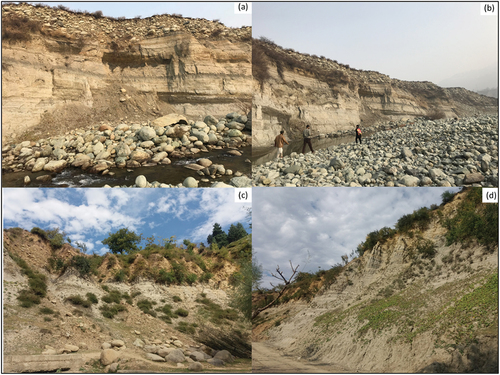 Figure 15. Strath terraces (a) and (b)Rambiara river Shopian (c) Doodhganga river Budgam and (d) Shaliganga river Budgam.