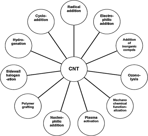 Figure 6. Various covalent functional modifications possible with carbon nanotubes. Reprinted from reference [Citation52].