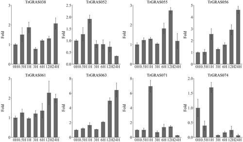 Figure 7. qRT-PCR analysis of TrGRAS genes in white clover under cold stress.Note: The X-axis represents time points in response to cold stress, and the Y-axis represents relative expression levels of TrGRAS genes. The housekeeping genes are Action and GAPDH.