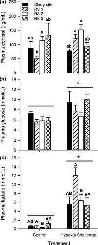 FIGURE 4. Concentrations of (a) plasma cortisol, (b) plasma glucose, and (c) plasma lactate for Largemouth Bass from the study site in the Chicago Area Waterway System (CAWS) and three reference sites (RS; North Shore Channel of the CAWS, Busse Lake, Des Plaines River) subjected to low DO challenge of 2.0 mg/L for 6 h. Control treatment fish were held for 6 h at 6.5 mg/L. Error bars show ±1 SE. Lowercase letters represent statistical differences between individual bars, uppercase letters represent significant differences across sites only, and an asterisk represent a significant treatment effect; bars not sharing the same letter are significantly different from others in that group (α = 0.05). Sample sizes ranged from n = 7 to 11.